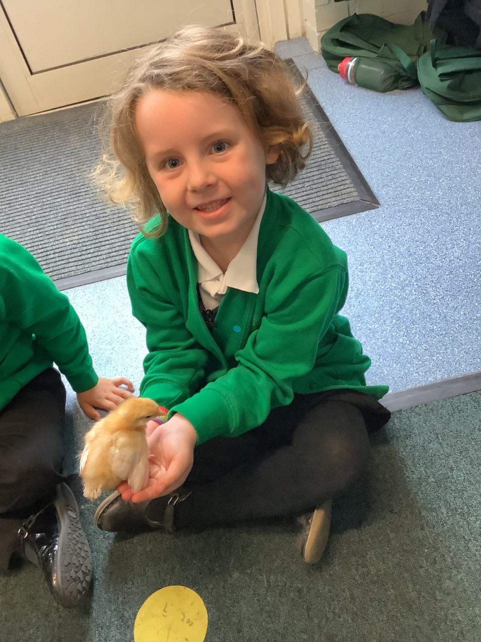 Orchard Primary School EYFS Watch Eggs Hatch