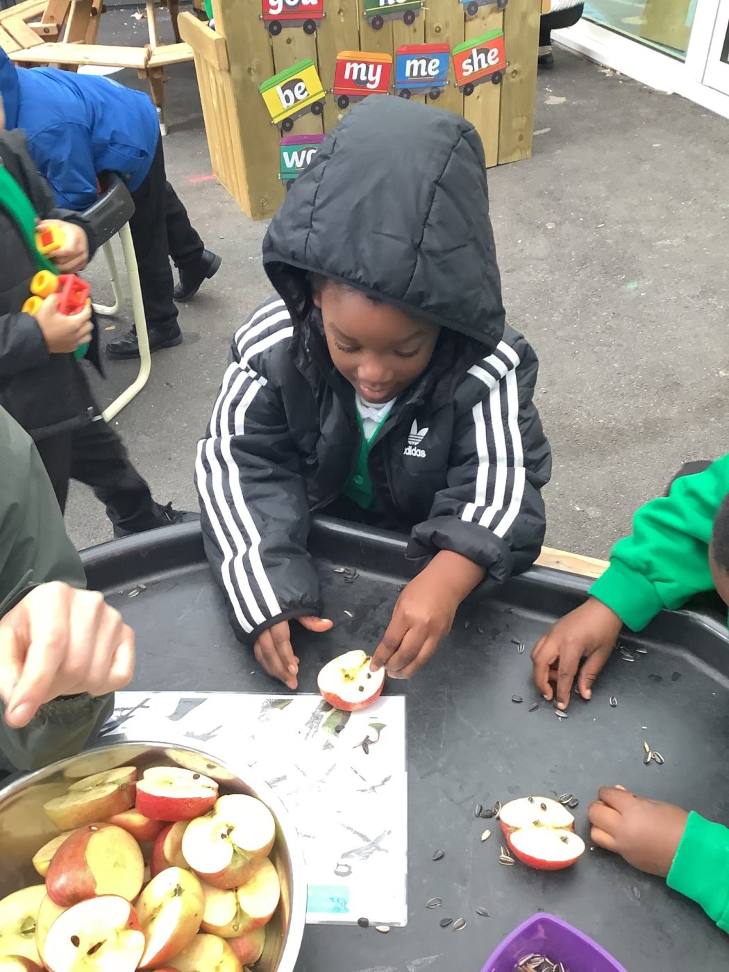 Orchard Primary School | EYFS Plant Seeds